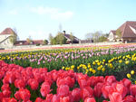 tp042101.jpg